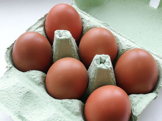Eier-Rohlinge